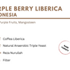 Purple Berry - Indonesia
