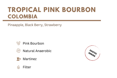 Tropical Pink Bourbon - Colombia