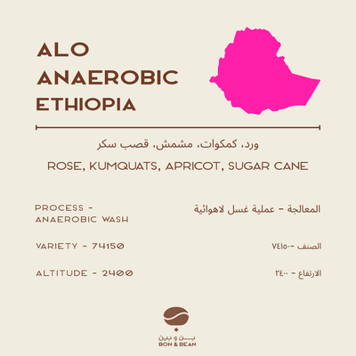 Alo Anaerobic - Ethiopia