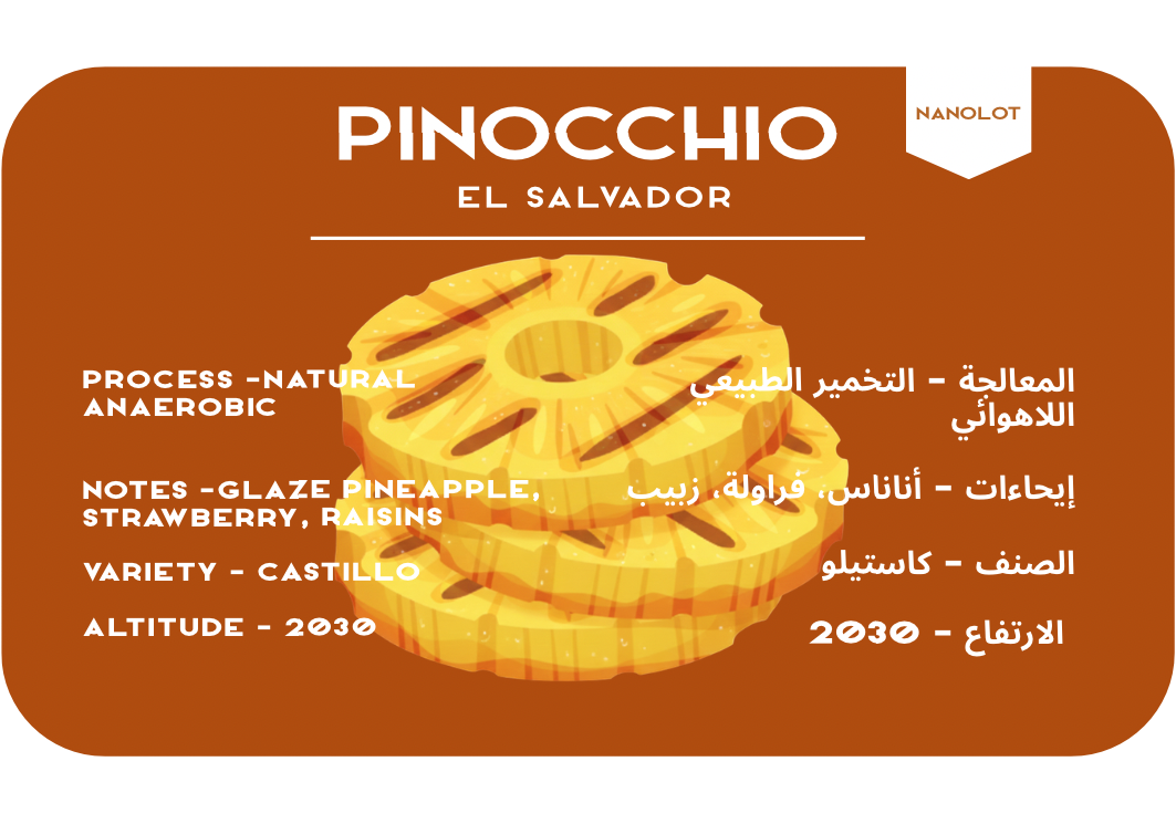 Pinocchio - El Salvador