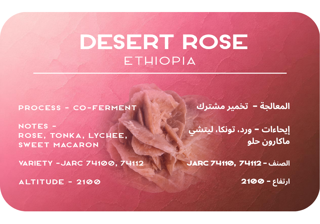 Desert Rose - Colombia