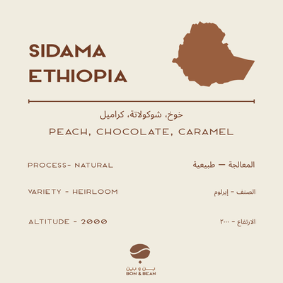 Sidama Ethiopia