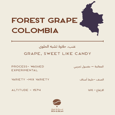 Forest Grape - Colombia