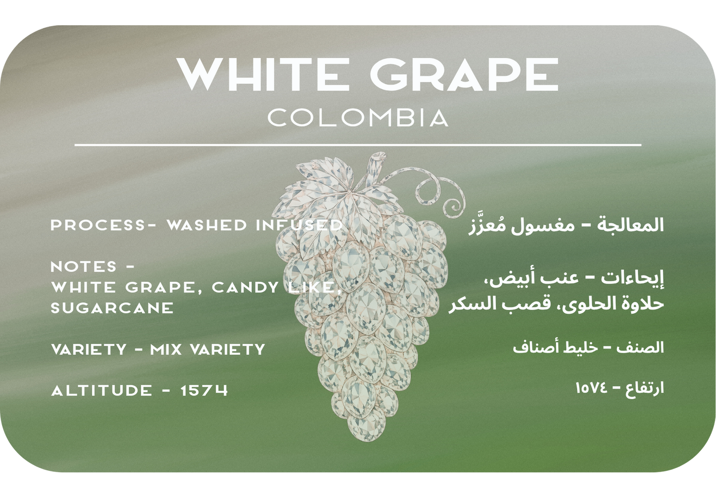 White Grape - Colombia