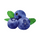 blueberry