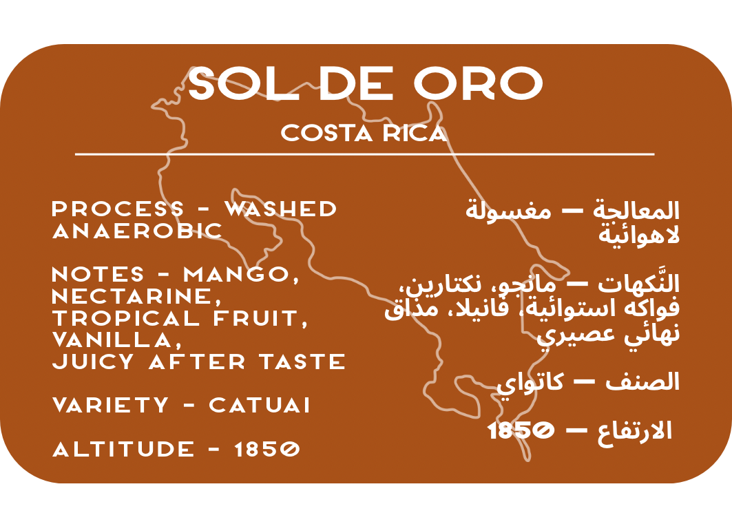 Sol De Oro - Costa Rica