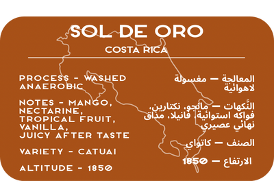 Sol De Oro - Costa Rica