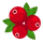 CranBerry