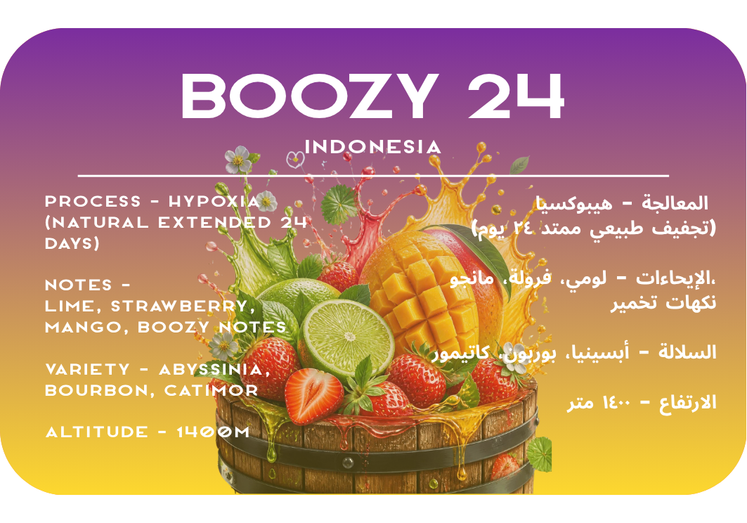 Boozy 24 - Indonesia