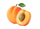 Apricot