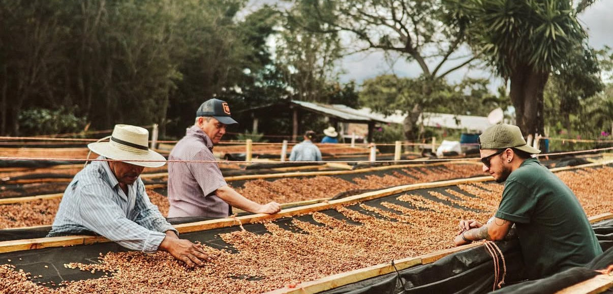 Pinocchio - El Salvador