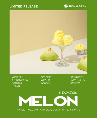 Melon Indonesia