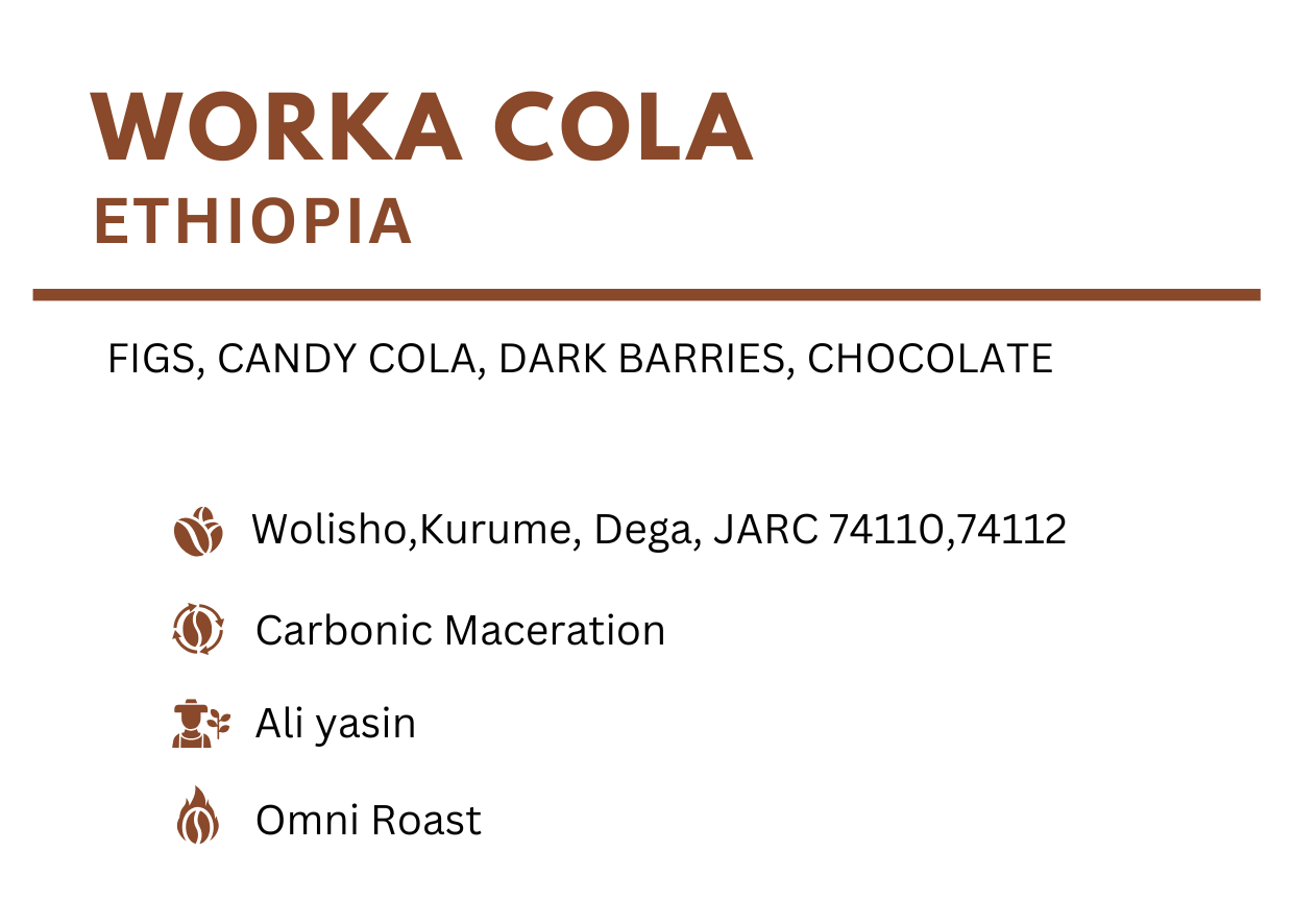 Ethiopia - Worka Cola