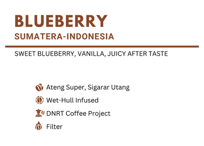 Blueberry Indonesia