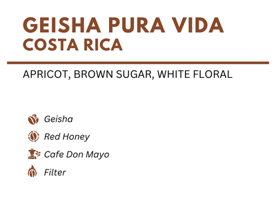 Geisha Pura Vida - Costa Rica