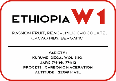 W1 - Ethiopia