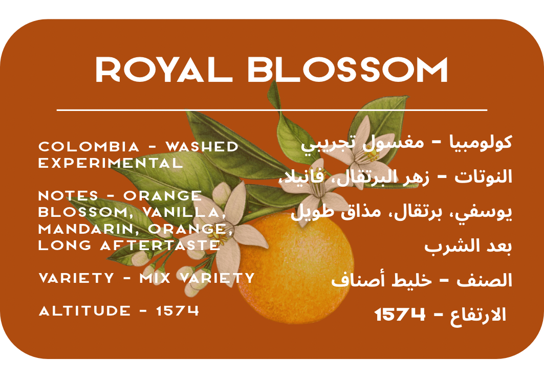 Royal Blossom - Colombia