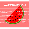 Watermelon - Colombia