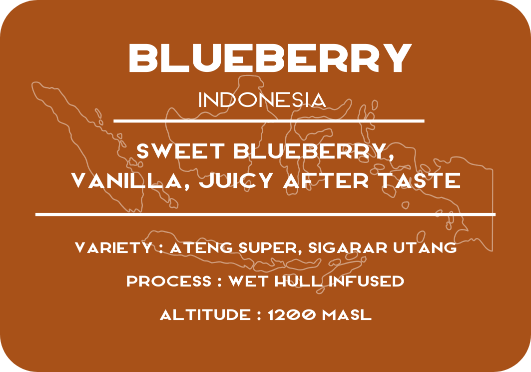 Blueberry Indonesia
