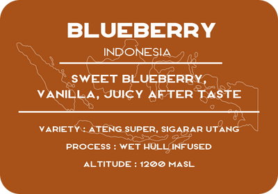 Blueberry Indonesia