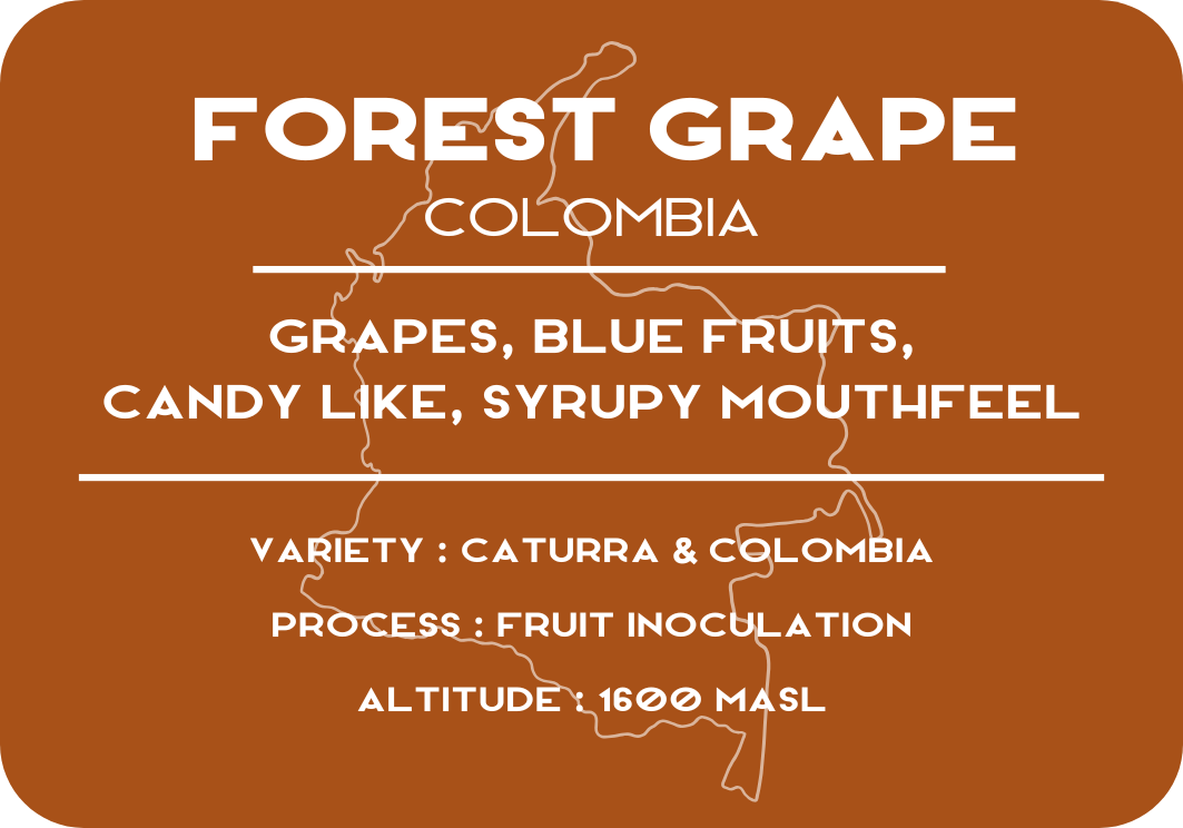 Forest Grape - Colombia