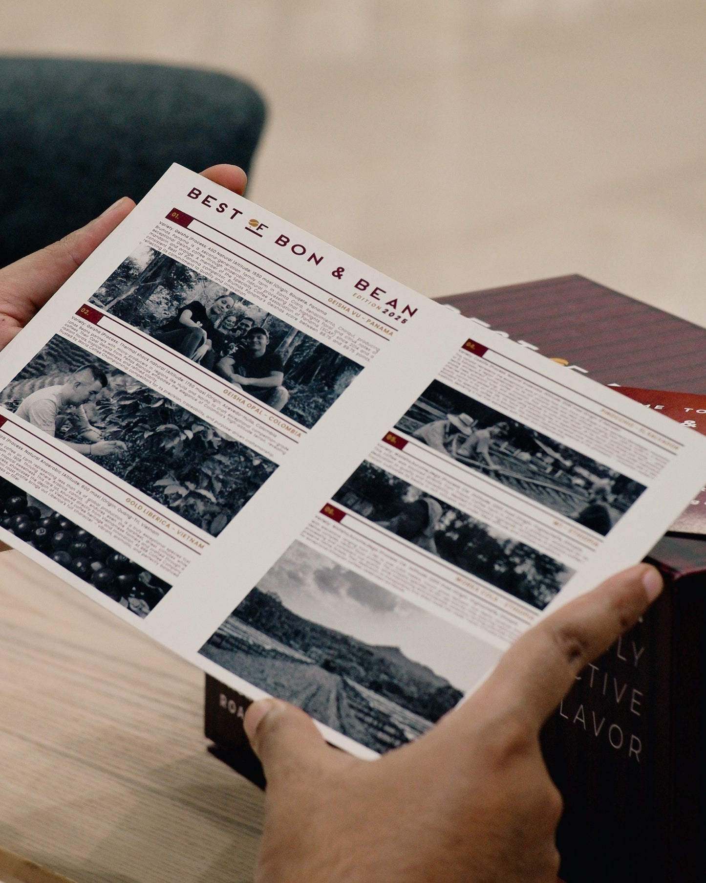 Best Of Bon & Bean Edition 2025