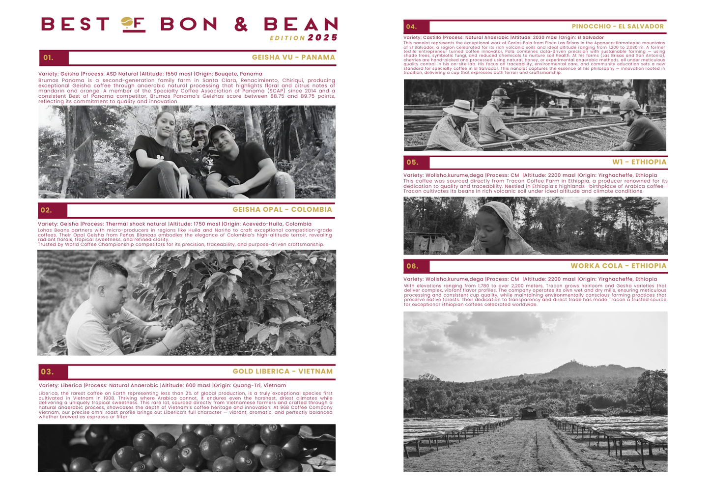 Best Of Bon & Bean Edition 2025