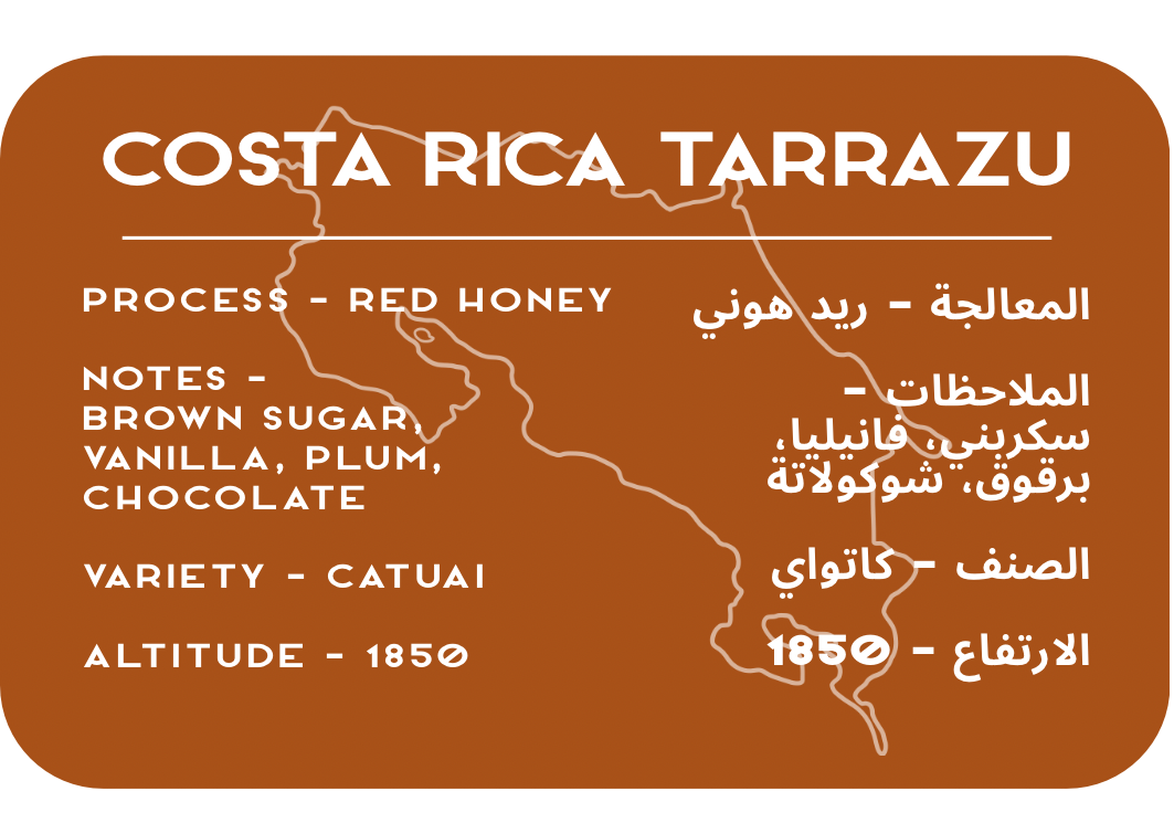 Costa Rica Tarrazu
