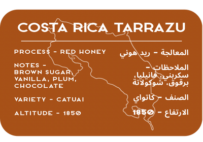 Costa Rica Tarrazu