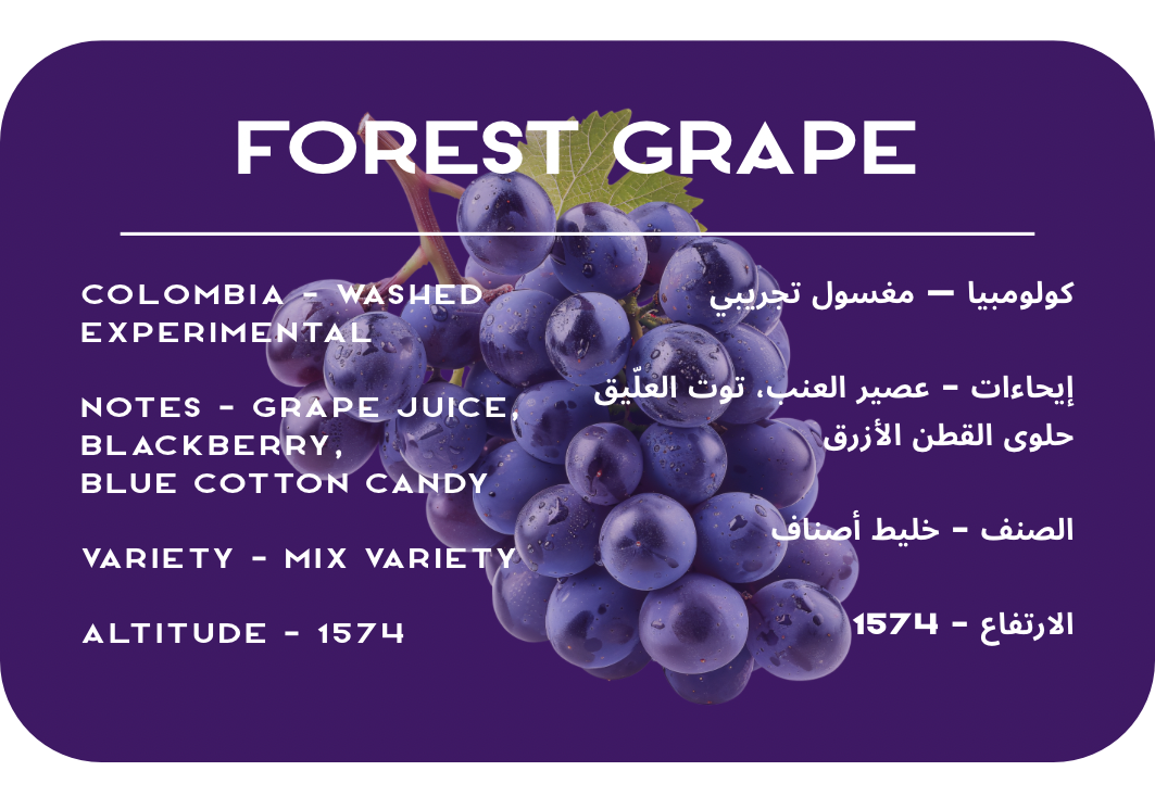 Forest Grape - Colombia