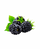 Dark Berries 