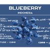 Blueberry Indonesia