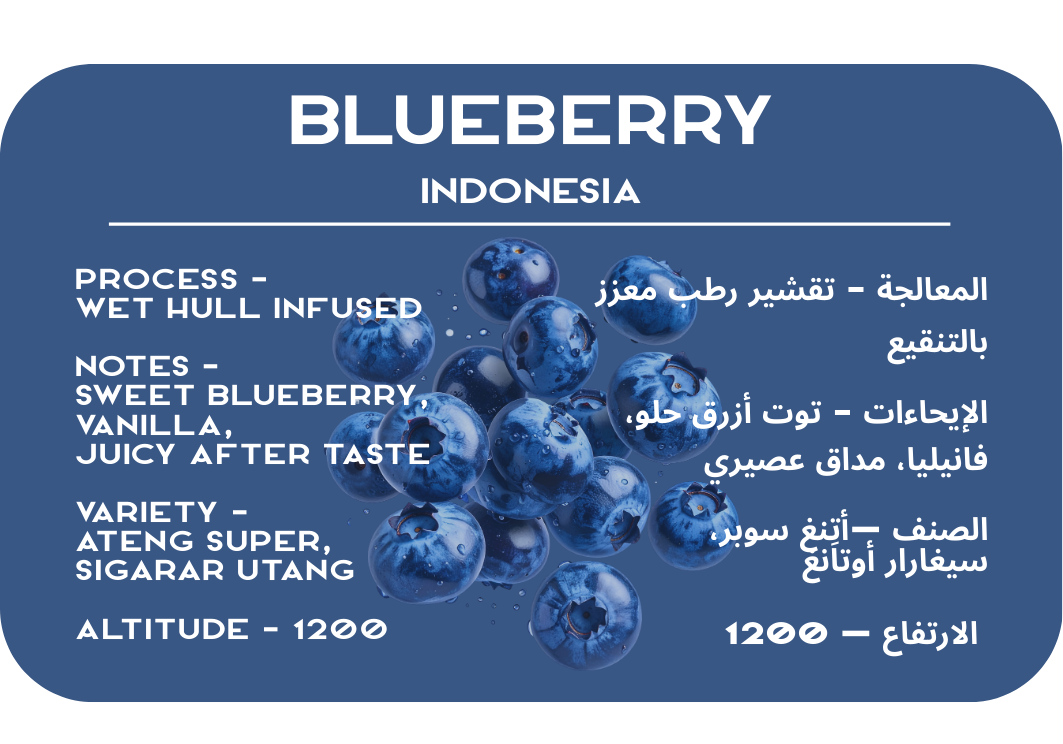 Blueberry Indonesia