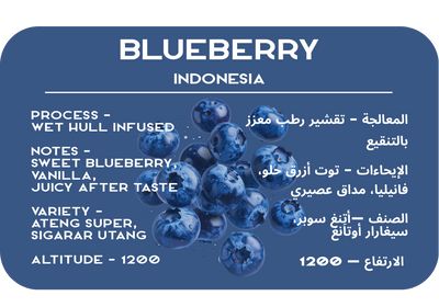 Blueberry Indonesia