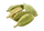 Cardamom