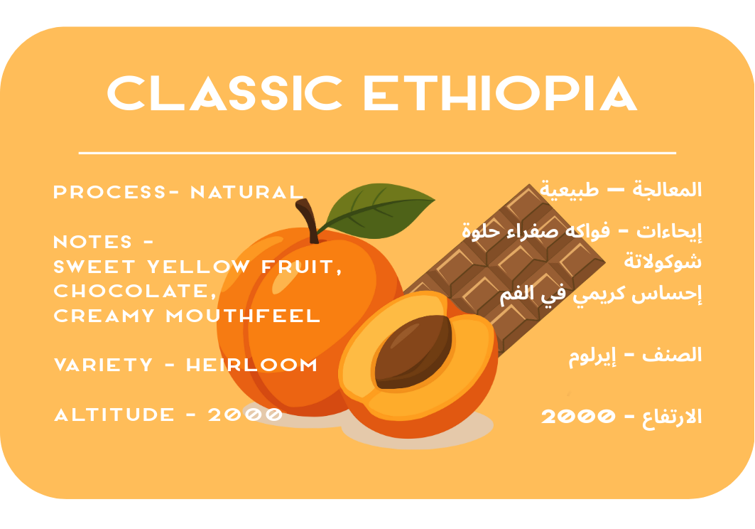 Classic Ethiopia