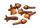 Cloves