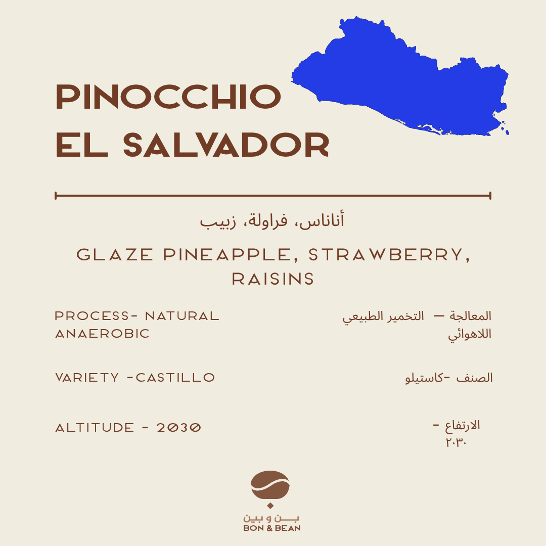Pinocchio - El Salvador