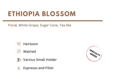 Ethiopia Blossom