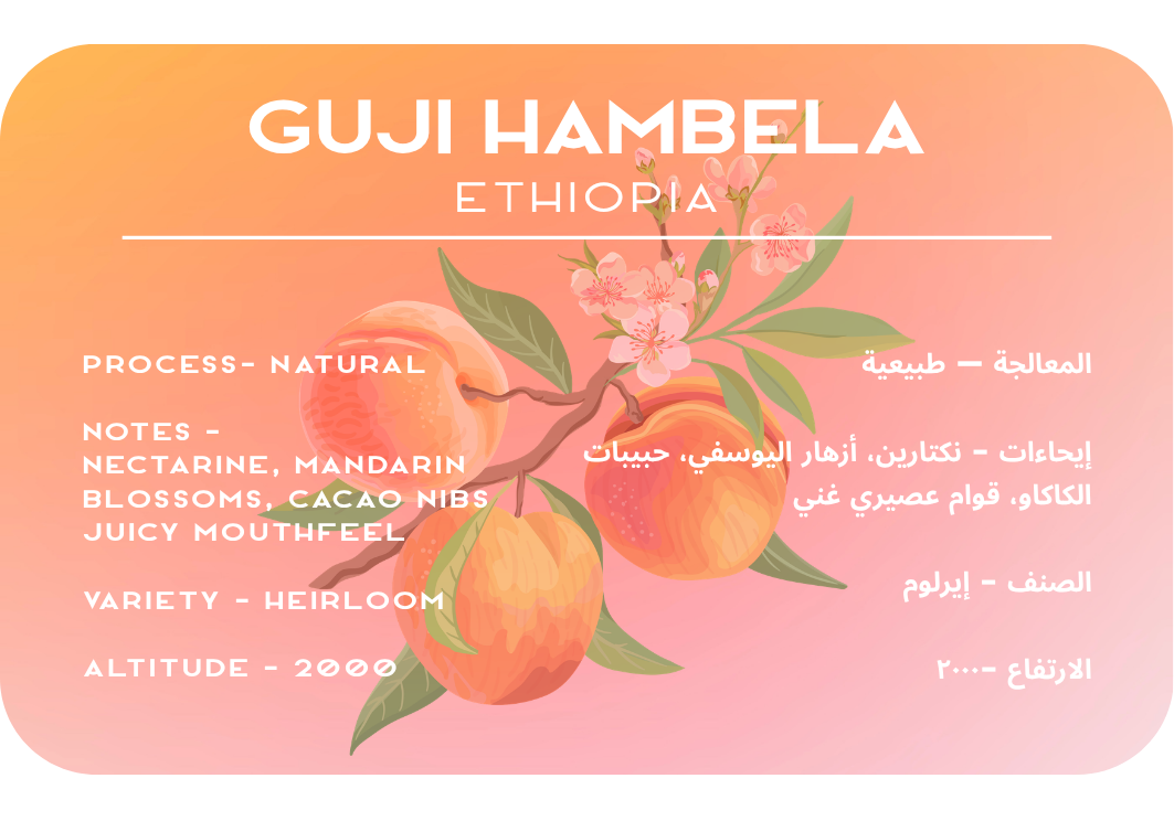 Guji Hambela - Ethiopia