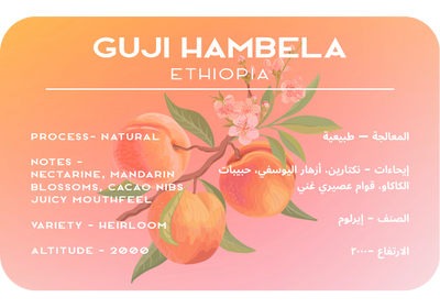 Guji Hambela - Ethiopia
