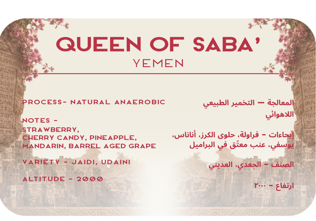 Queen of Saba' - Yemen